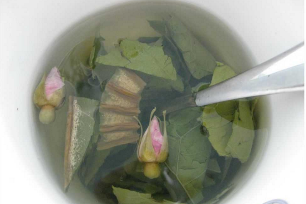 陳皮荷葉茶有什麼效果 荷葉還有哪些用法