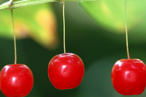 夏季美白秘籍 多吃這幾種水果