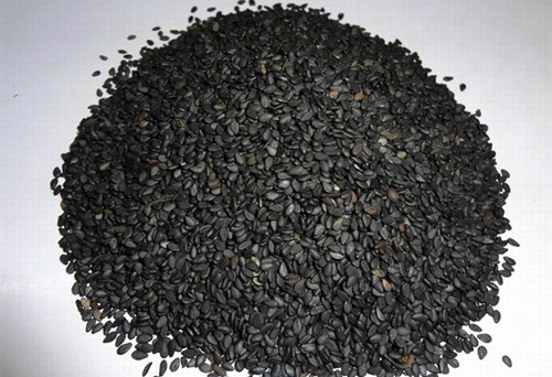 黑芝麻的減肥效果怎麼樣