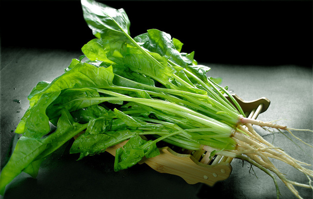 菠菜 男人壯陽的最佳食物