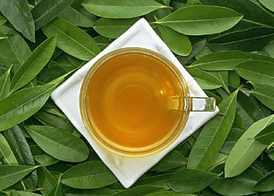 美容茶 助您護膚美白