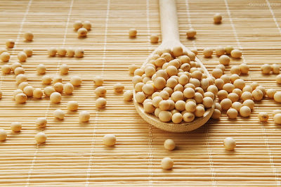 滋補食物豐胸細腰吃出來