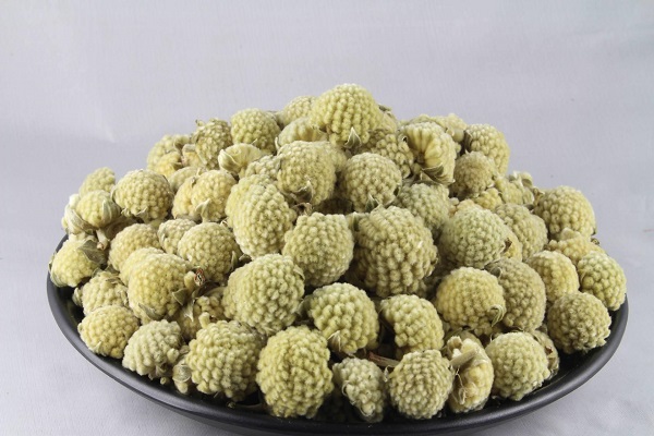 綠蘿花的功效與作用及食用方法