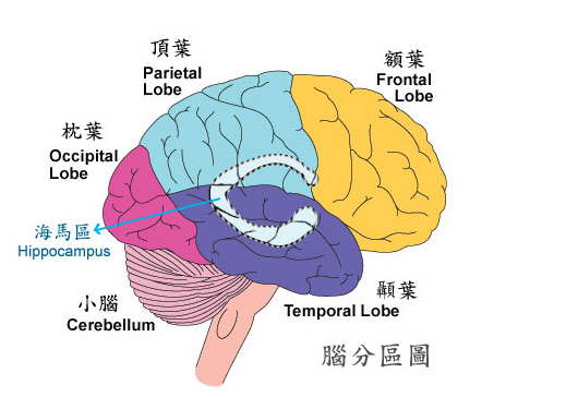 記性不好怎麼辦