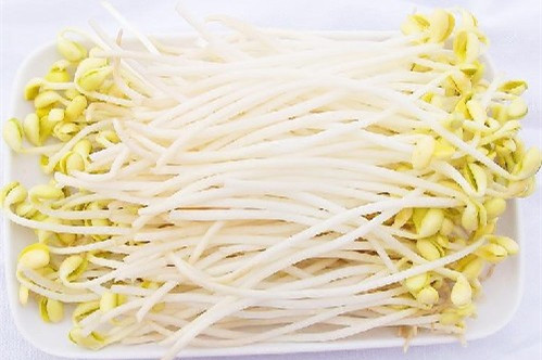 到底吃什麼食物可以減肥