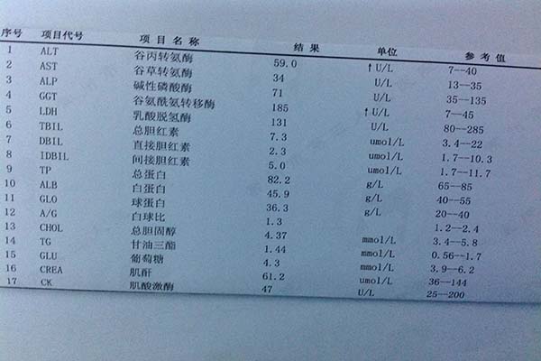 教你如何看肝功能化驗單
