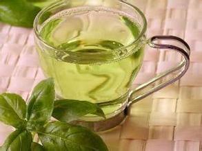 減肥效果好的減肥茶推薦