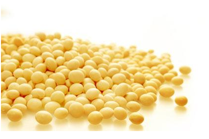 豐胸食譜一把抓 讓乳房漲漲漲不停
