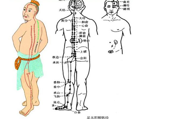 推按膀胱經 改善身體亞健康