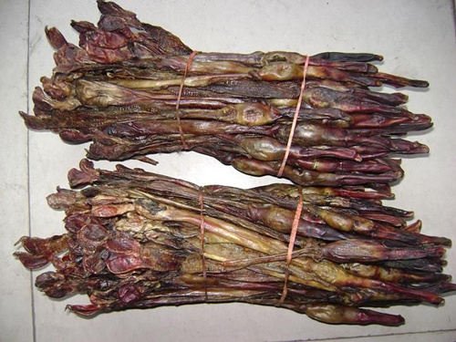 稀奇的男性壯陽保健食療食材