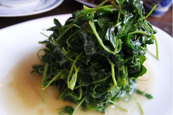 養肝的馬頭蘭居然可以做成一道菜