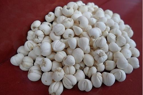 貝母止咳的這些知識 你知道多少 貝母止咳的這些知識 你知道多少