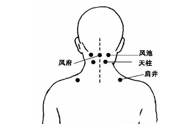 冬季常按五穴位 讓感冒遠離你！
