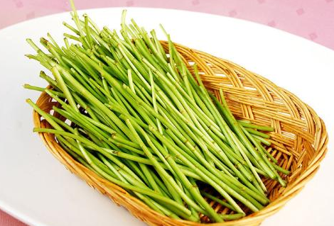 如何蔞蒿增強記憶力