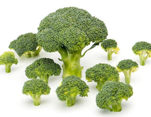 蒜蓉西蘭花的傢常做法