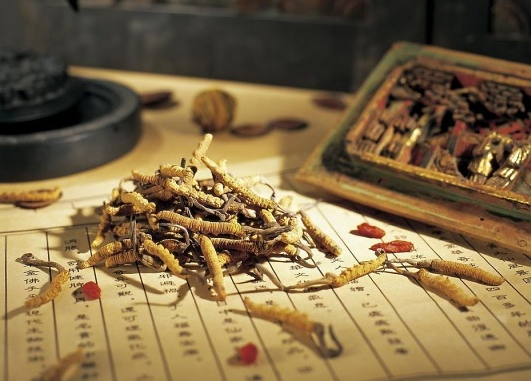 壯陽中藥真的能有效壯陽嗎