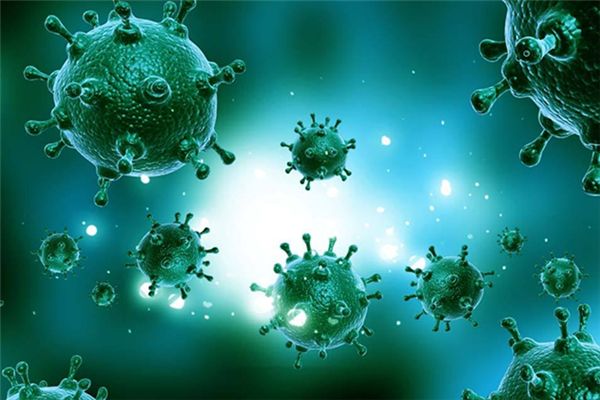 H7N9禽流感