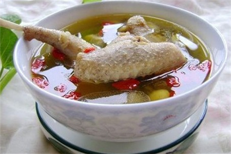 鴿子壯陽有效果嗎 推薦鴿子壯陽食譜