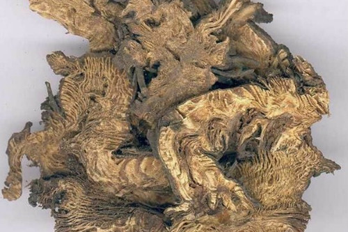 化斑解毒湯的功效作用有哪些 化斑解毒湯的功效作用有哪些