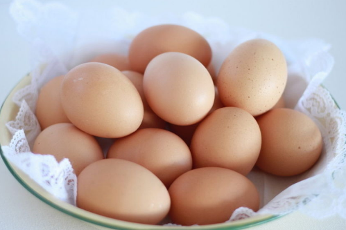 優質蛋白提升免疫力 雞蛋豆類補蛋白質