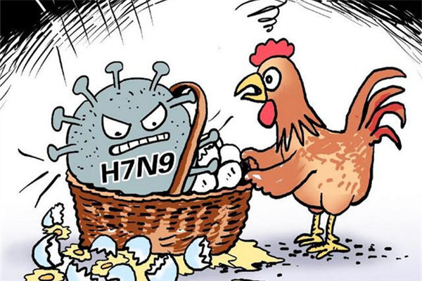 禽流感疫情持續升溫 猜想：它會成為“超級病毒”嗎