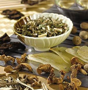 腎陽虧虛可以吃什麼藥