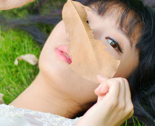 想美白抗衰老 絲瓜護膚不錯