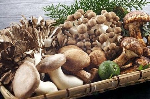 春季滋補食物之菌類 無膽固醇
