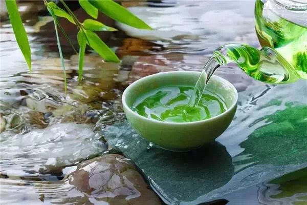 荷葉茶能減肥嗎