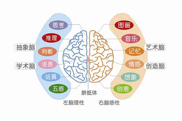 開發右腦的強大作用