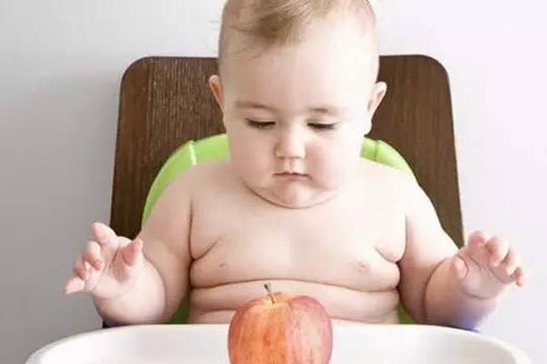 小兒肥胖的危害