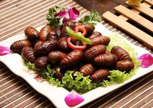 男士壯陽可以吃什麼