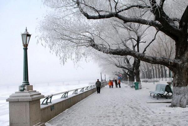 下雪的季節_風的季節_風雪飄落的季節_註意事項 下雪的季節,風,季節,風雪