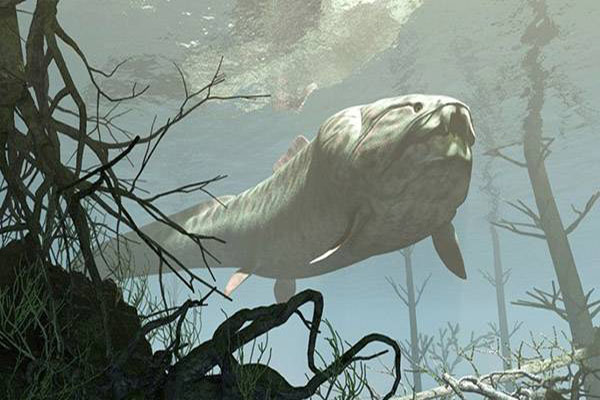 含肺魚介紹 含肺魚資料大全