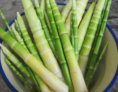 亂吃“壯陽”食物可至性無能