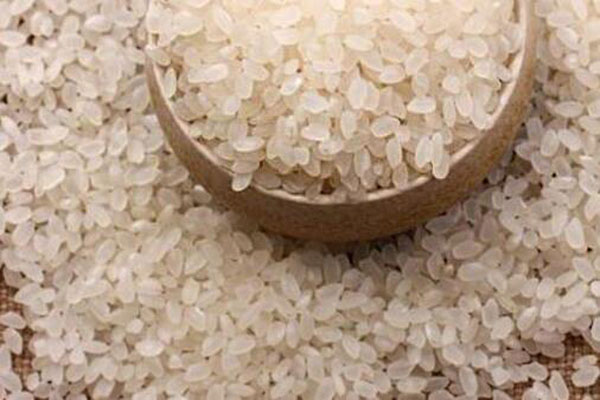 粳米是什麼米_粳米是大米嗎_粳米和大米的區別