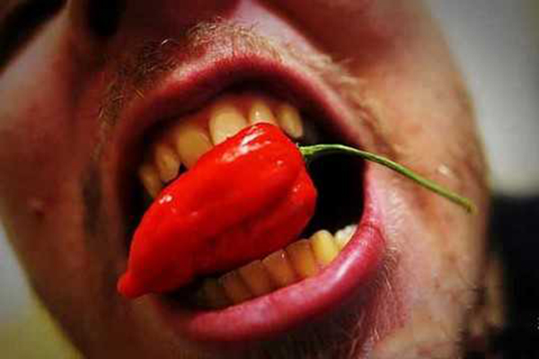 魔鬼椒——世界上最辣的辣椒