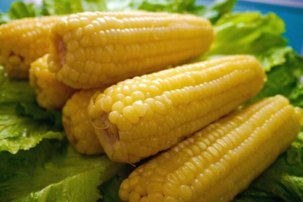 玉米怎麼做好吃 一根玉米熱量高嗎