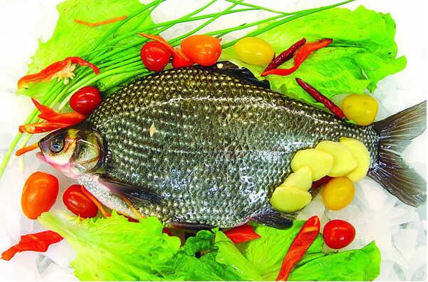 女性保健少吃肥肉多吃魚