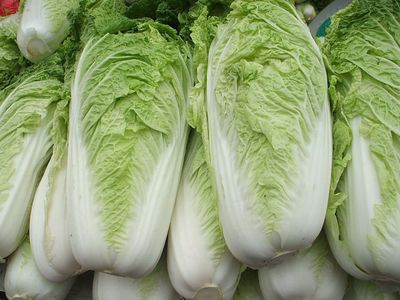 白菜減肥法讓你一周減8斤