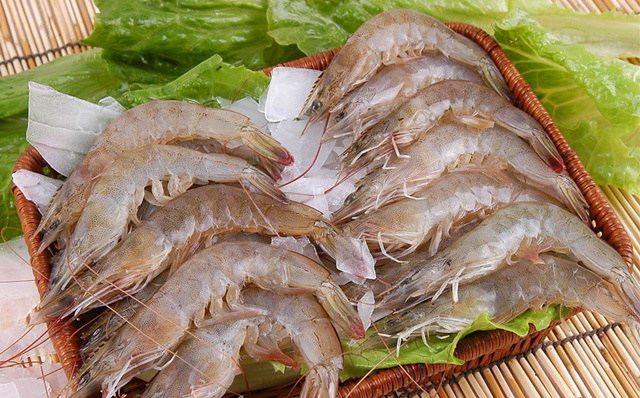 補腎壯陽吃什麼 吃什麼食物補腎壯陽
