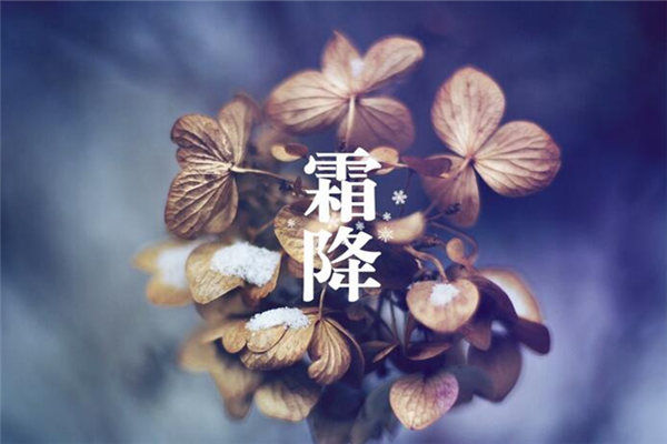 中醫趣談：霜降時節吃柿子不會流鼻涕