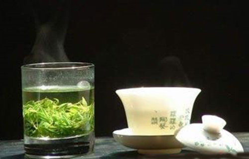 苦丁茶減肥的方法