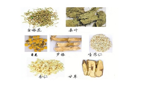 華蓋散的功效與作用