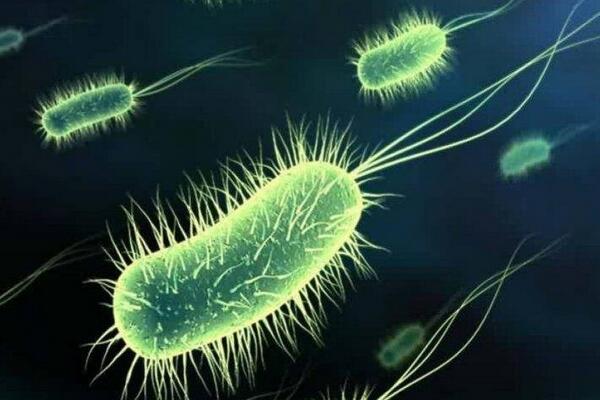 治療陰虱最佳方法