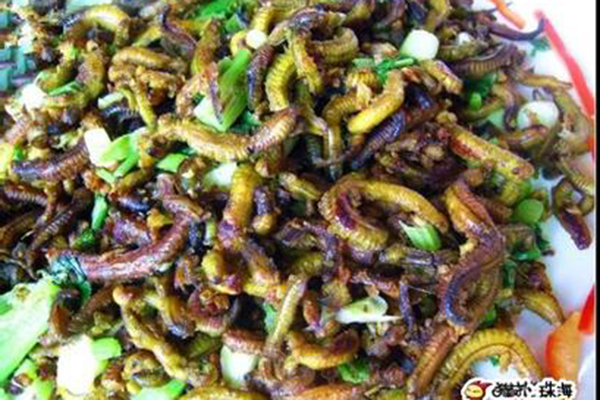 廣州的奇葩美食燉禾蟲的做法 