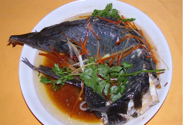 中華鱘魚的做法