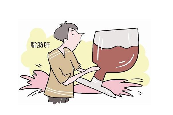 脂肪肝危害的不隻有肝臟 針灸療法有效護肝