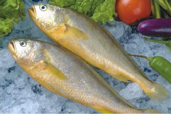 小黃花魚怎麼做好吃,小黃花魚的傢常做法,黃花魚的做法大全傢常