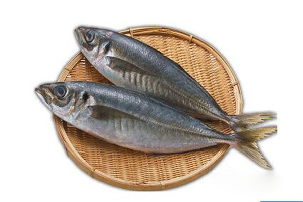 馬鮫魚的做法_馬鮫魚的營養價值